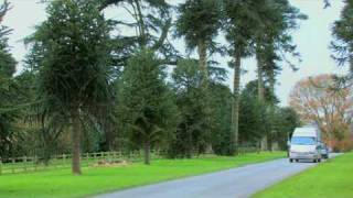 Great Trees of East Devon  The Bicton Monkey Puzzle Tree Ancient tree [upl. by Mafalda940]