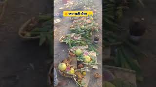 jore jore nariyal chhath puja ka dj niraj music dohta remix songsorts video [upl. by Luiza]