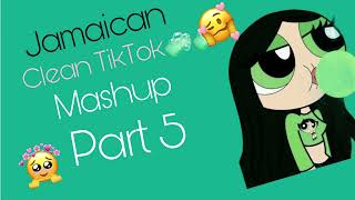 Jamaican TikTok mashup clean part 5 [upl. by Nolita]