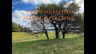 1700s homesite metal detecting [upl. by Atilam490]