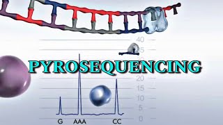 Pyrosequencing  Detail video in Hindi [upl. by Nyladgam]