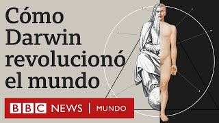 Evolución vs Dios por qué la teoría de Darwin fue revolucionaria  BBC Mundo [upl. by Edelman]