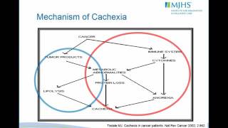 Management of Anorexia Cachexia [upl. by Eizeerb]