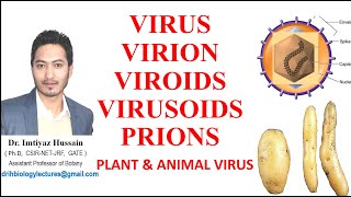 Virus Virion Viroids Virusoids Prions Difference between plant and animal virus [upl. by Callum]