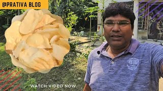 খেতে খুব সুস্বাদু অনেকদিন পর খেলাম ।😋😄 prativa blog [upl. by Ecydnac613]