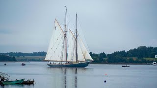 Sailing on the Bluenose II [upl. by Fazeli]