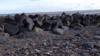 Hornsea Sea Defences [upl. by Mable]