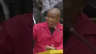 Julius Malemas Explosive Parliament Showdown mzansirealtalk [upl. by Ayerhs]