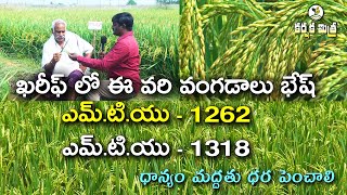 ఖరీఫ్ లో ఈ వరి రకాలు భేష్ High yielding New Paddy Varieties MTU 1262 MTU  1318  Karshaka Mitra [upl. by Latham]