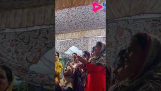 kashmiri traditional rouf  kashmiri trending songs  Bilkisabegum roffsong [upl. by Nyer684]