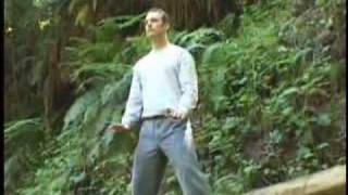 Qi Gong Flow For Beginners with Lee Holden  Teaser [upl. by Yllime421]