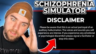 Reacting to a Schizophrenia Simulation [upl. by Saunderson125]