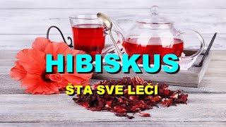 HIBISKUS  ŠTA SVE LEČI [upl. by Tenrag]