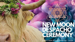 Reiki Share 424 New Moon Despacho Ceremony [upl. by Germaun]