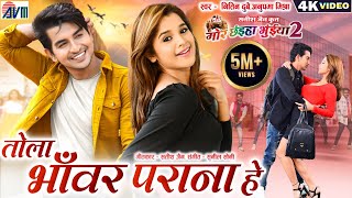 Mor Chhaiya Bhuiya 2  Cg Movie Song  Tola Bhanwar Parana He  Chhattisgarhi Gana Deepak Elsa AVM [upl. by Kcirdaed]