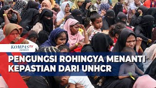 Gelombang Pengungsi Rohingya Terus Datang ke Indonesia Polisi Tetapkan Tersangka TPPM [upl. by Kataway]