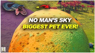 MASSIVE WORM PET  No Mans Sky SANDWORM TAMED  MOD [upl. by Mechling]