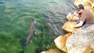 BROCHET 1m38 du BORD AU LEURRE  LAC LEMAN  LHISTOIRE [upl. by Aubry]