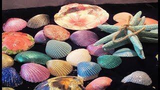 DIY 5 Ways to decorate seashells shells [upl. by Photina]