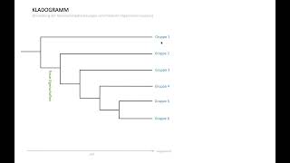 Erklärfilm Kladogramm [upl. by Hahsia]