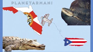 Viajé a Florida y Miami🐊🌿🥵 animales por doquier✨￼ [upl. by Ahsikcin]