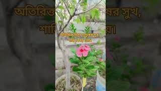 অতিরিক্ত চিন্তা মানুষের সুখ শান্তি কেঁড়ে নেয়। foryou [upl. by Kcired]