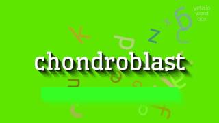 CHONDROBLAST  HOW TO SAY CHONDROBLAST chondroblast [upl. by Laurentia]