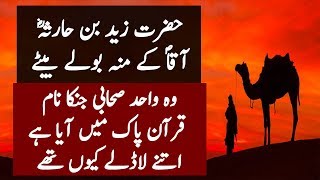 Hazrat Zaid Bin Haris Ka Naam Quran Main Kion Hay l Studo One [upl. by Noremmac]