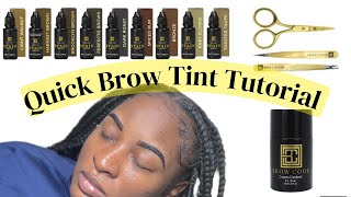 HOW TO DO A BROW TINT IN 6 MINUTES  LICENSED ESTHETICIAN  DETAILED VIDEO [upl. by Vharat419]