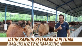 Cerita Sukses Pensiunan Pertamina Jadi Peternak Sapi Sukses [upl. by Seltzer]