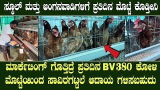 Call 9880426984 BV380 Hens farm in Karnataka  Bv380 eggs profitable poultry bussiness Bv380 koli [upl. by Hiller]