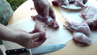 How to Quarter or Disjoint A Rabbit Butchering Rabbit [upl. by Lenuahs903]