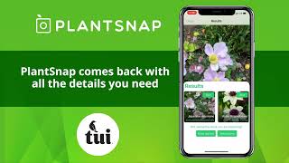 PlantSnap [upl. by Mariandi309]