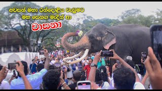 Esala Perahera  අවසන් ඳළදා වැඩුමට සැරසෙන වාසනා  Wasana [upl. by Dulcia]