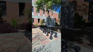 Giant Chess Set  Curtin University [upl. by Pontus363]