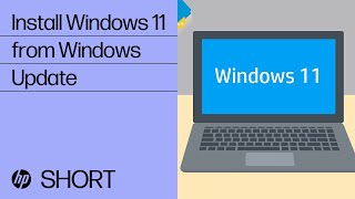 Install Windows 11 from Windows Update in Windows 10  HP Support [upl. by Lanti439]