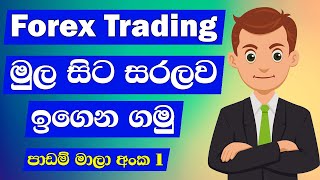 Forex Trading Sinhala  Forex Trading For Beginners  Forex Trading  Lesson 01 [upl. by Redmond]