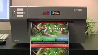 Print Your Own Labels with Primeras LX900 Color Label Printer [upl. by Newsom]