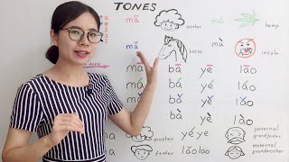 The Tones in Mandarin Chinese  Beginner Lesson 2  HSK 1 [upl. by Annaliese444]