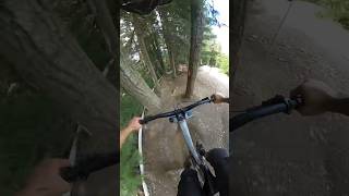 ALine 🇨🇦 Whistler BikePark [upl. by Holcman355]