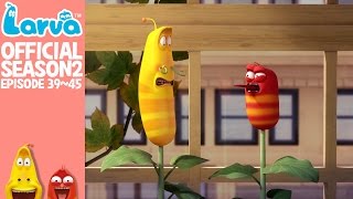 Official LARVA Season 2 Episode 39  45 [upl. by Assirahs830]