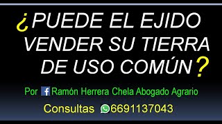 ¿legalmente el ejido puede vender la tierra de uso común [upl. by Sosthenna]