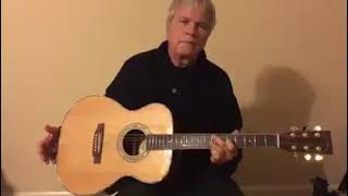 What artists play Zager Guitars [upl. by Ricky]