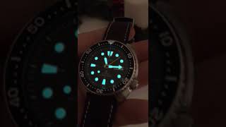 Lumibrite Seiko Turtle SRP777K1 [upl. by Jamaal661]