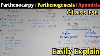 Parthenocarpy  Apomixis  Parthenogenesis  Seed Dormancy  Class 12 Biology [upl. by Norse]