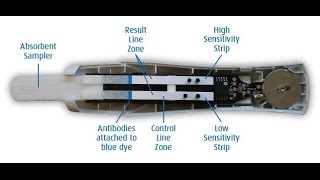 Whats inside this pregnancy test [upl. by Eanej]