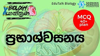 ප්‍රභාශ්වසනය  Photorespiration  EduTalk Biology [upl. by Esaertal842]