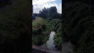 Autumn View of Longford River London [upl. by Ecnarrot]