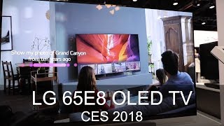 LG 65E8 OLED TV  CES 2018  Thomas Electronic Online Shop [upl. by Zilla954]