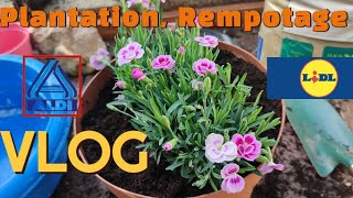 VLOG 🛍️Je suis passée chez LIDL et ALDI 🌺 Plantations et Rempotages Je Bouge Toutes Mes Plantes 🪴 [upl. by Tharp]